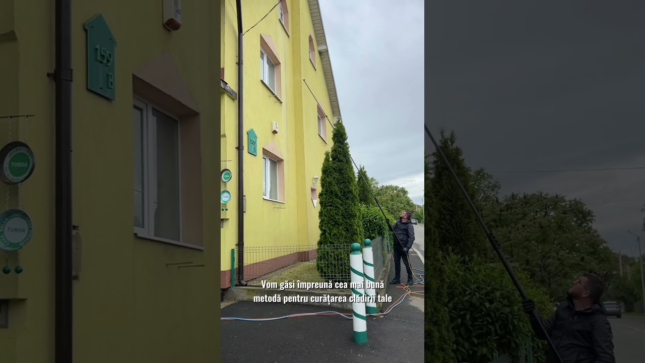 Curățare fațadă decorativă (Short)